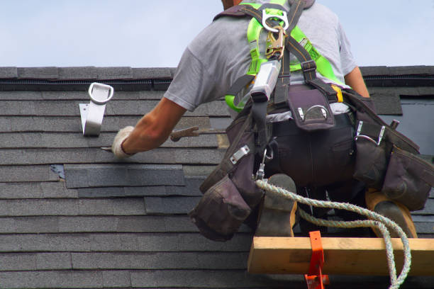 Roof Gutter Cleaning in Bloomingdale, TN