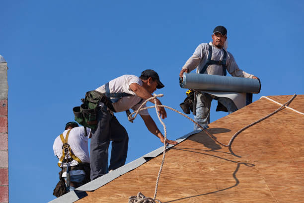 Best Roof Leak Repair  in Bloomingdale, TN