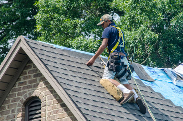Quick and Trustworthy Emergency Roof Repair Services in Bloomingdale, TN